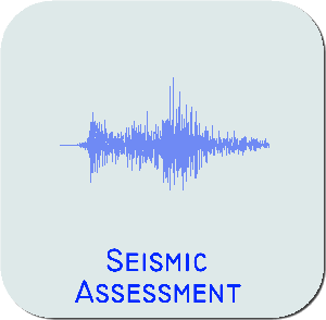seismic assessment